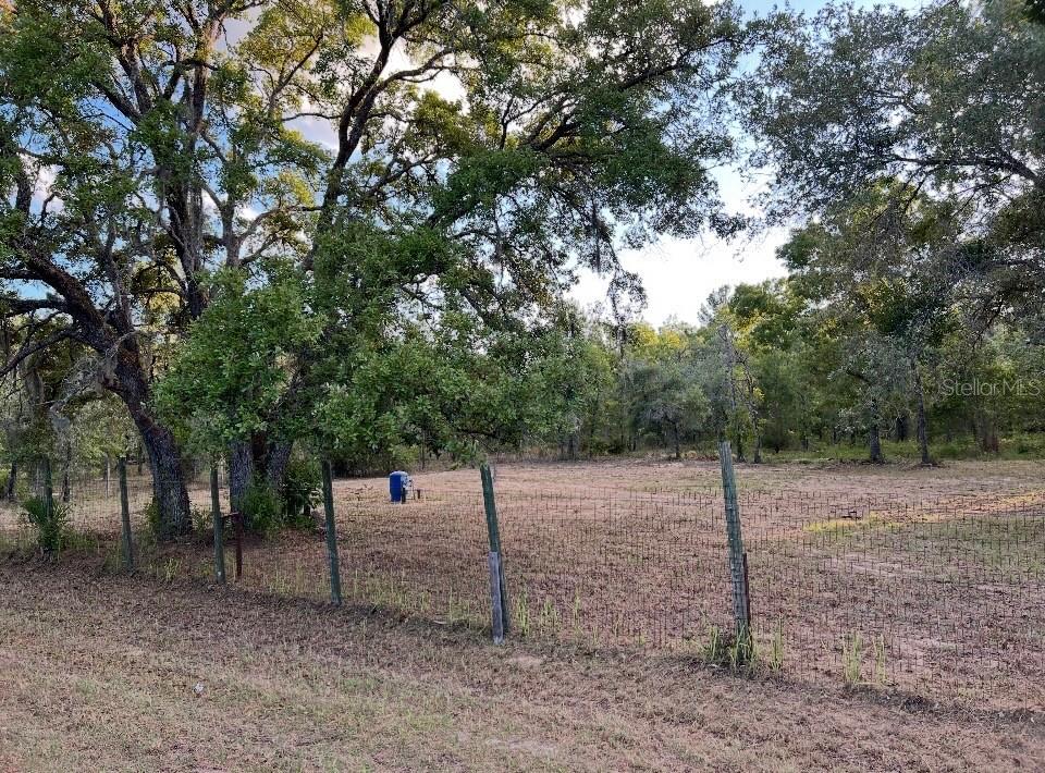 A fenced, cleared lot with mature trees and a blue utility container in the background — 12055 FINCH ROAD, WEEKI WACHEE, FL