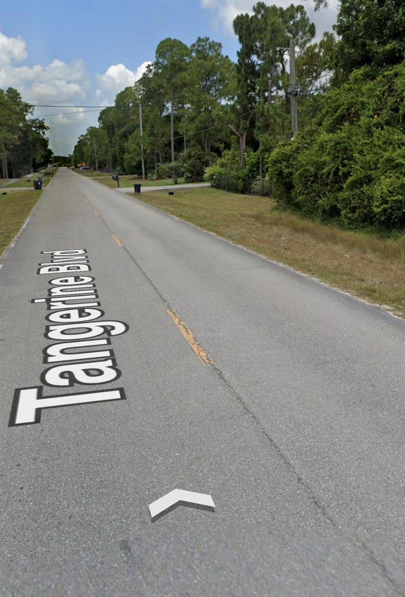 A paved road stretches into the distance, lined with trees and residential mailboxes — Xxxxx Tangerine Boulevard, FL 33470, FL