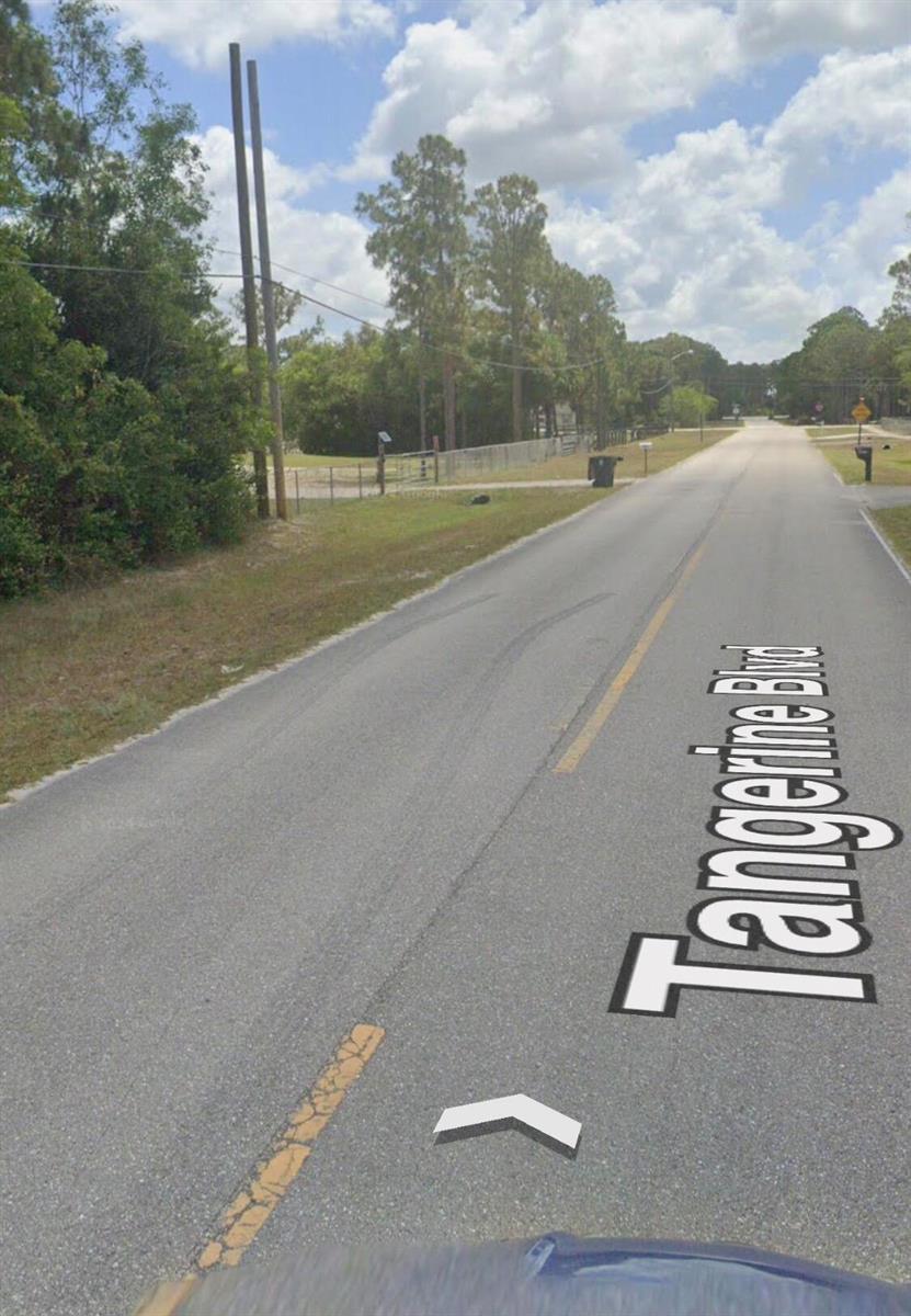 A paved road stretches into the distance, flanked by trees, utility poles, and grassy shoulders — Xxxxx Tangerine Boulevard, FL 33470, FL