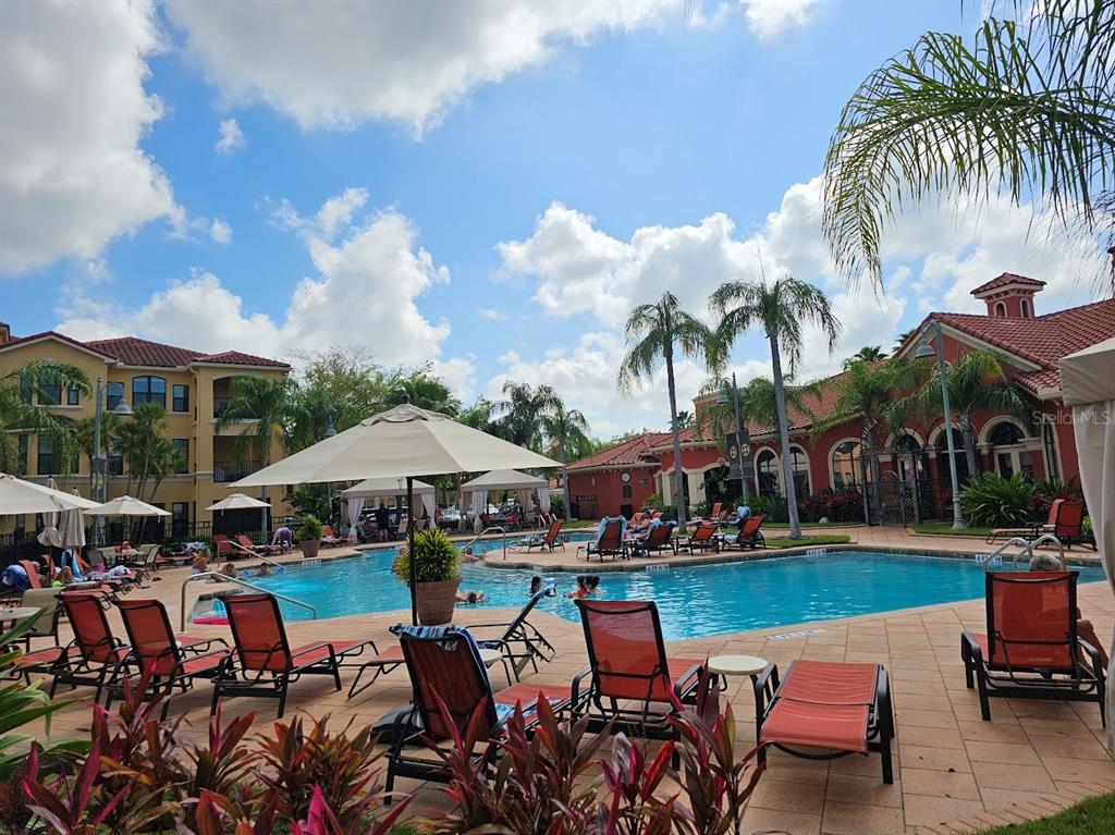 A swimming pool surrounded by lounge chairs, umbrellas, palm trees, and multi-story Mediterranean-style buildings — 2713 VIA MURANO UNIT 236, CLEARWATER, FL