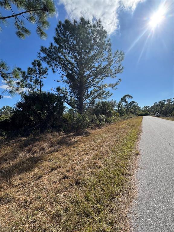 A paved road runs alongside a grassy lot featuring a large pine tree and shrubs — 2366 LE JEUNE DRIVE, PORT CHARLOTTE, FL