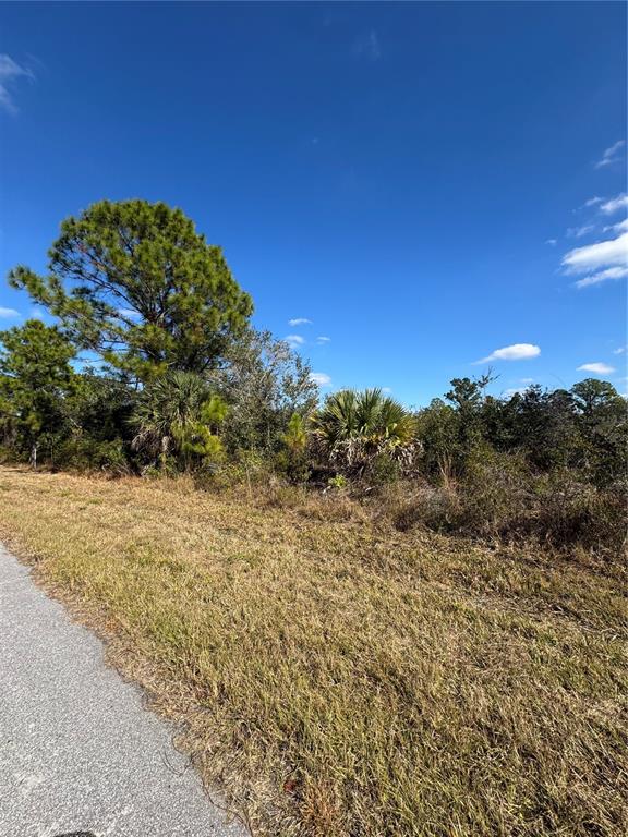 A paved road runs alongside a grassy lot with scattered trees and shrubs — 2366 LE JEUNE DRIVE, PORT CHARLOTTE, FL