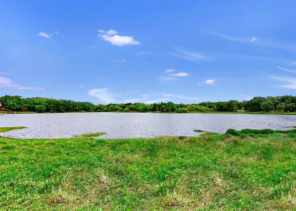 A grassy field leads to a calm lake surrounded by a line of green trees — 220 ROSANA DRIVE, BRANDON, FL