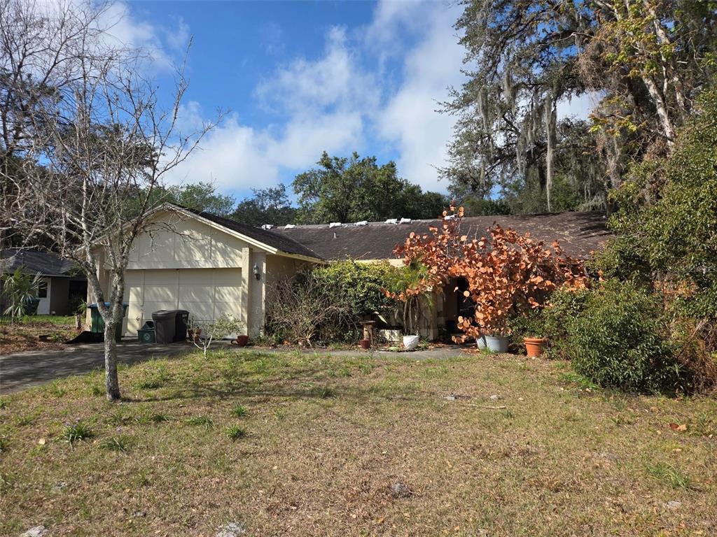 224 SHORE ROAD