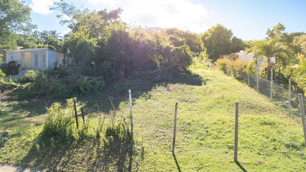 A grassy, fenced-in vacant lot sits between two houses with dense trees in the background — 109 SANTA MARÍA, VIEQUES, PR