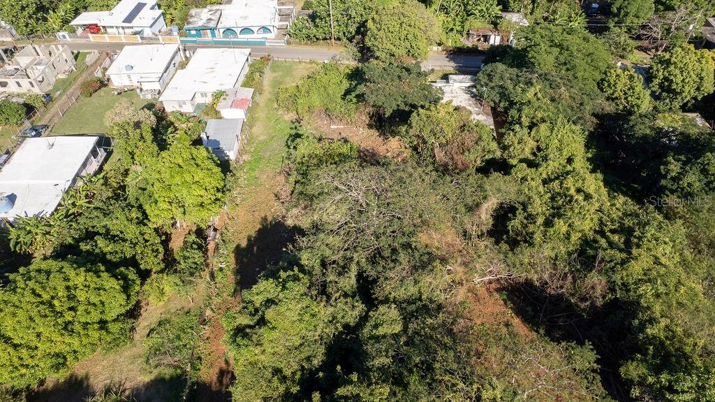 An aerial view shows a vacant, tree-covered lot situated between several residential houses — 109 SANTA MARÍA, VIEQUES, PR
