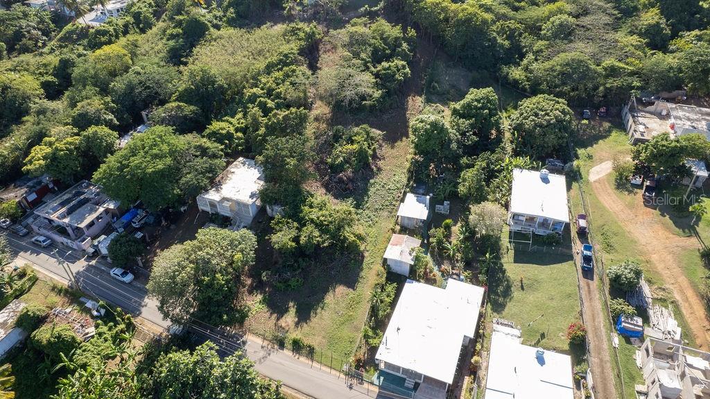 An aerial view shows several houses surrounded by dense trees and vegetation near a road — 109 SANTA MARÍA, VIEQUES, PR