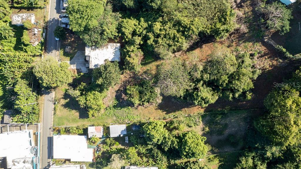 An aerial view shows a residential lot with trees, vegetation, and nearby houses — 109 SANTA MARÍA, VIEQUES, PR