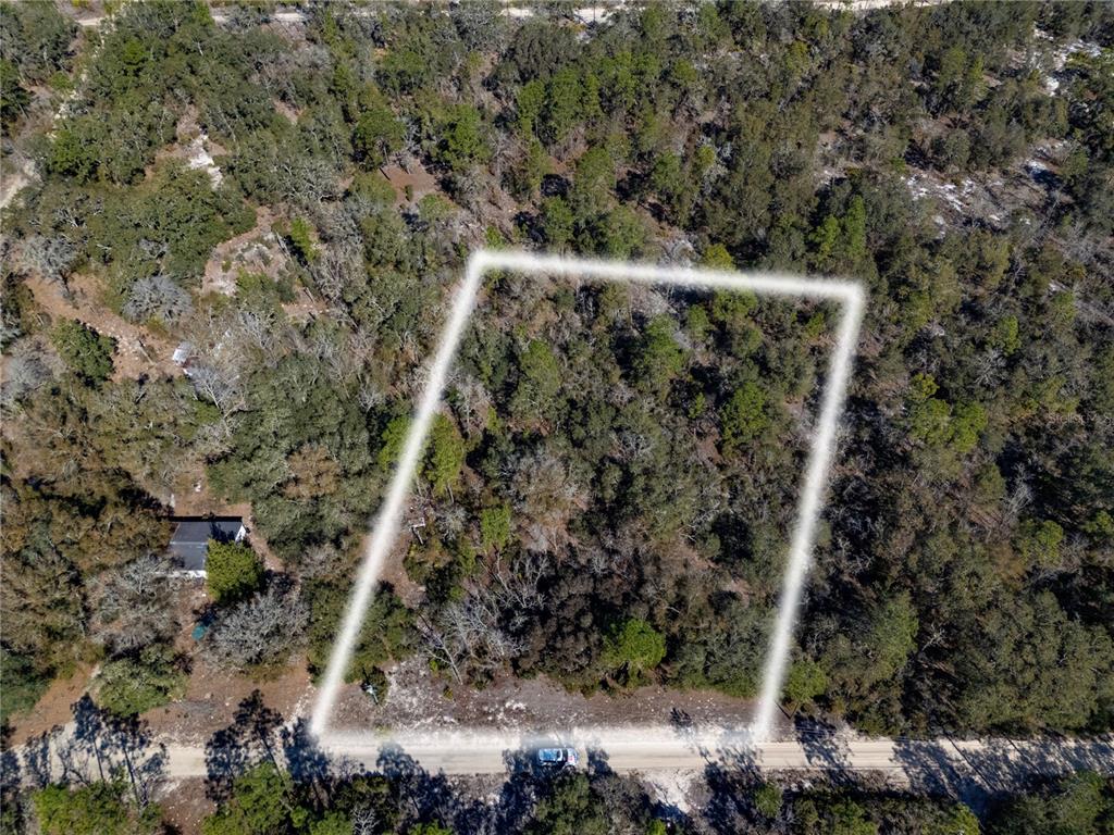 TBD NE 87TH PLACE, BRONSON, FL — photo 2 of 10