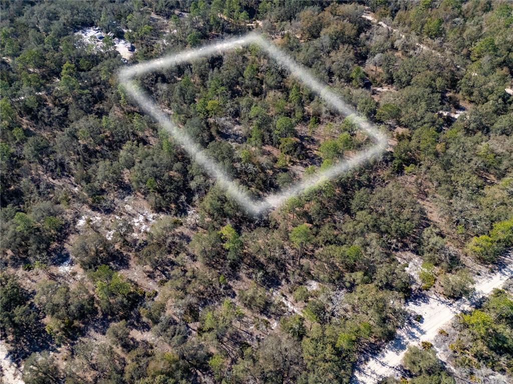 TBD NE 87TH PLACE, BRONSON, FL — photo 4 of 10