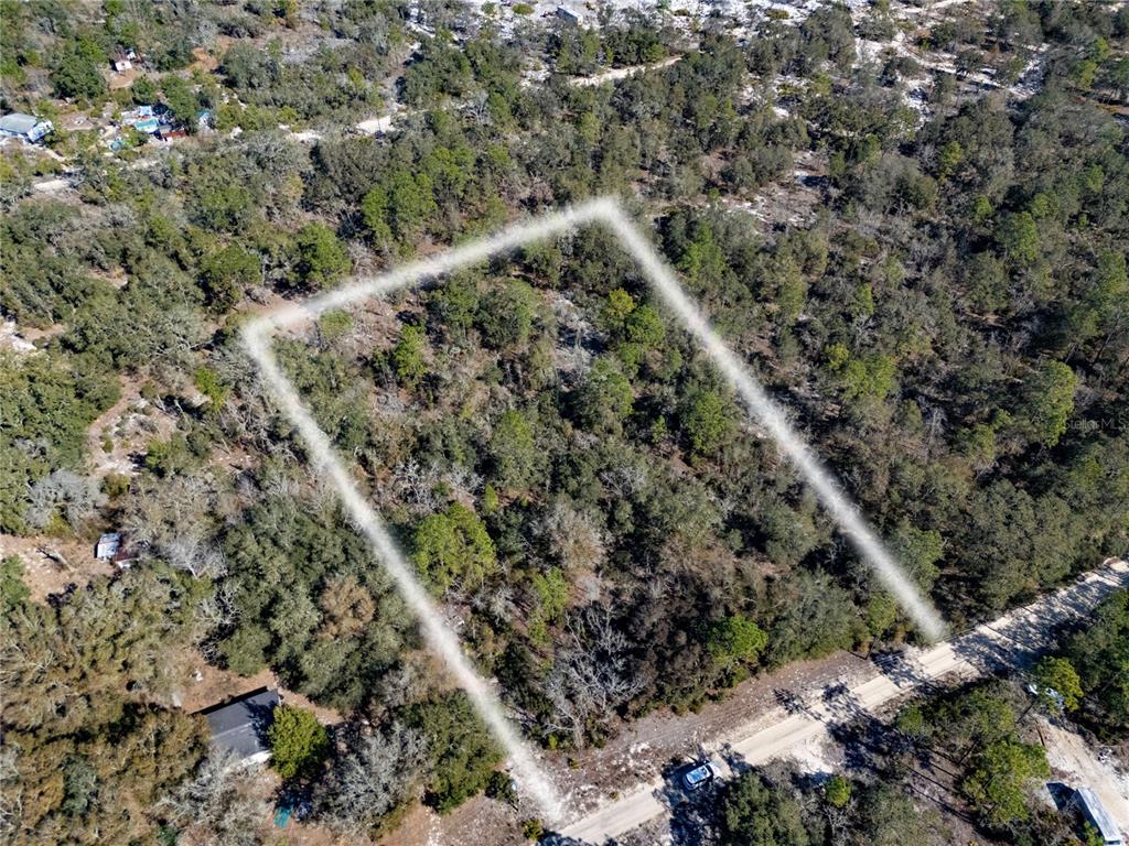 TBD NE 87TH PLACE, BRONSON, FL — photo 5 of 10