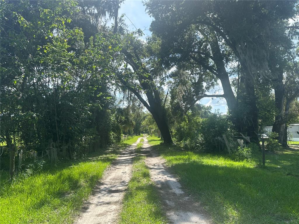 A dirt path leads through a wooded area with large, moss-covered trees on both sides — 0 SE 36TH AVENUE, OCALA, FL