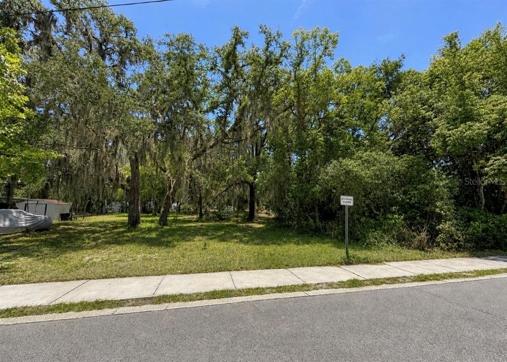 A vacant, wooded residential lot sits behind a sidewalk and paved street — 711 PINE, MOUNT DORA, FL