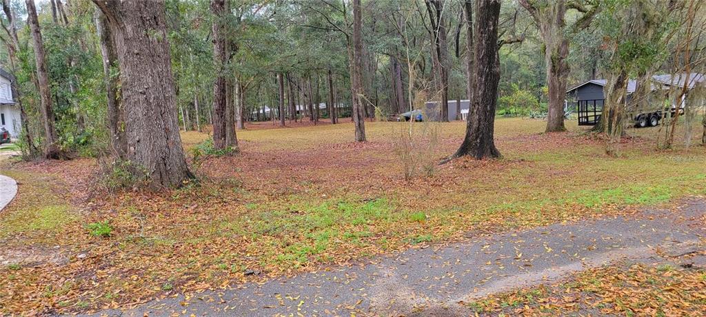 A wooded, leaf-covered residential lot features several large trees and a small structure nearby — 1260 SW 91ST ST, GAINESVILLE, FL