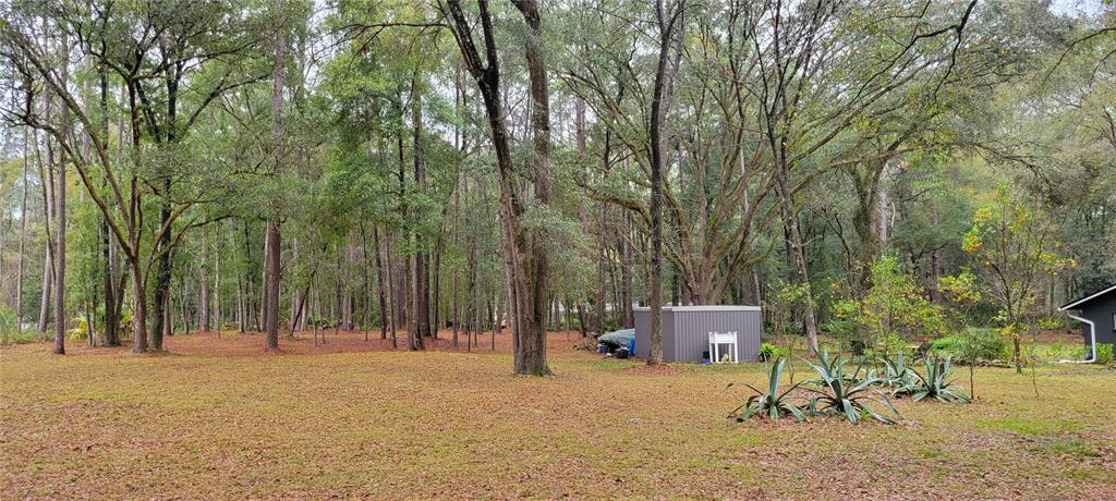 A large, grassy backyard features a metal storage shed surrounded by many tall, mature trees — 1260 SW 91ST ST, GAINESVILLE, FL