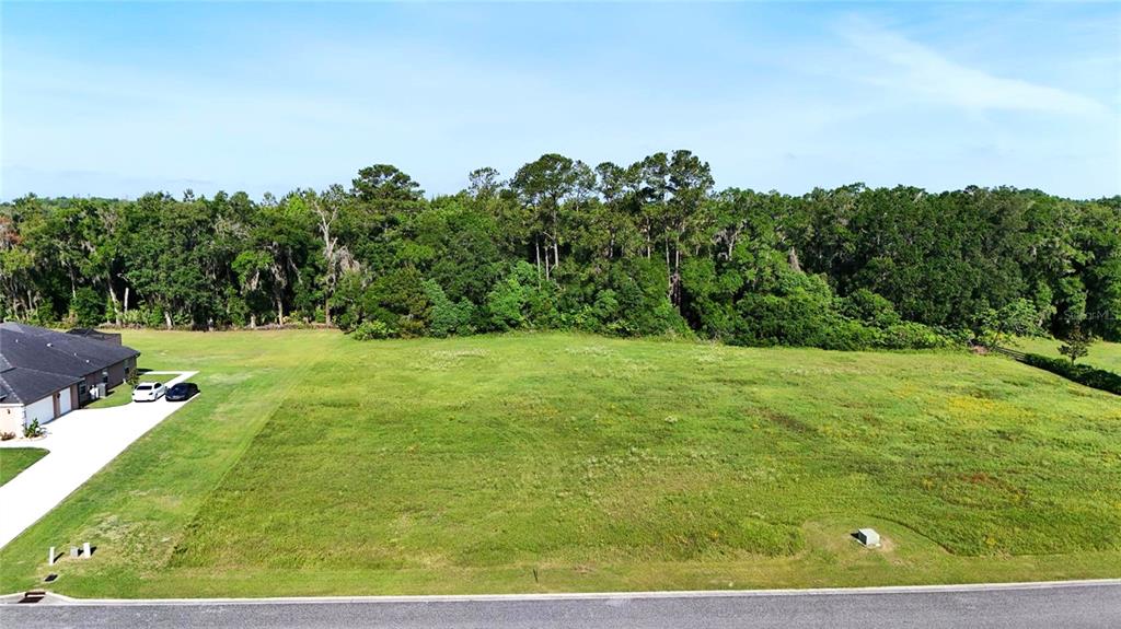 An aerial view shows a vacant, grassy residential lot bordered by a dense forest — XX NW 79TH LOOP, OCALA, FL