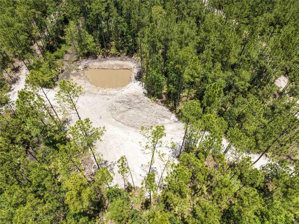 An aerial view shows a small pond and a dirt clearing surrounded by dense forest — CEDAR ROAD, NEW SMYRNA BEACH, FL