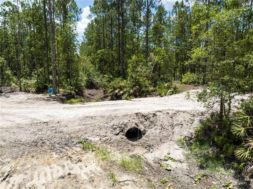 A dirt road crosses a drainage ditch with a culvert pipe in a wooded area — CEDAR ROAD, NEW SMYRNA BEACH, FL