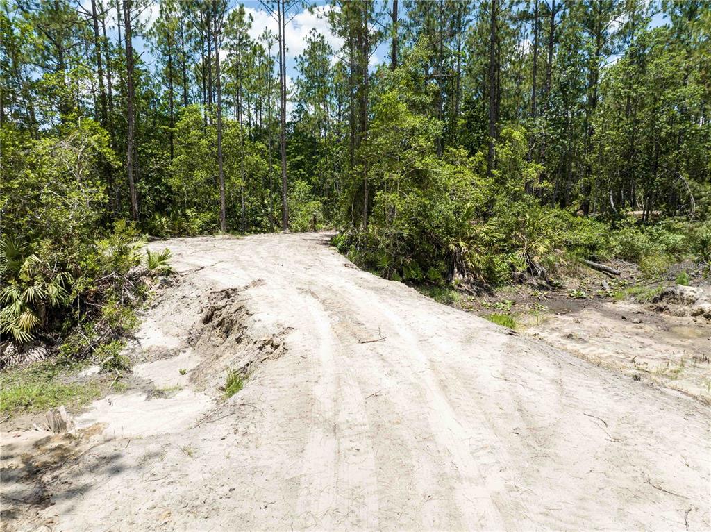 A dirt path leads through a wooded area toward a small, sandy bridge — CEDAR ROAD, NEW SMYRNA BEACH, FL