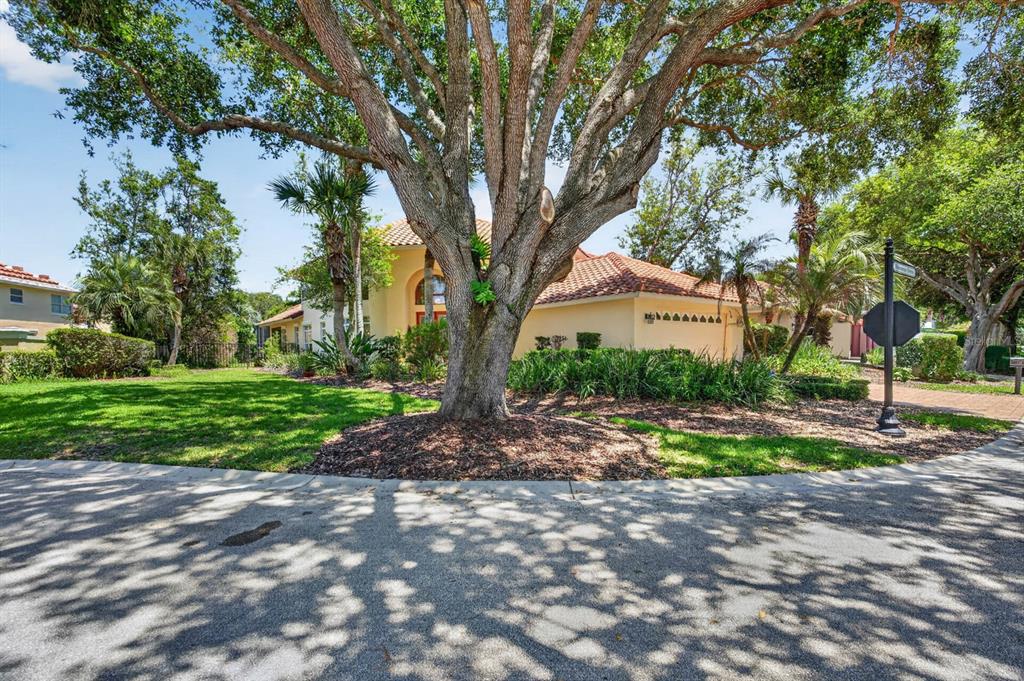 A large oak tree stands in the front yard of a single-story house with tile roofing — 10 MONTERREY DRIVE, PALM COAST, FL