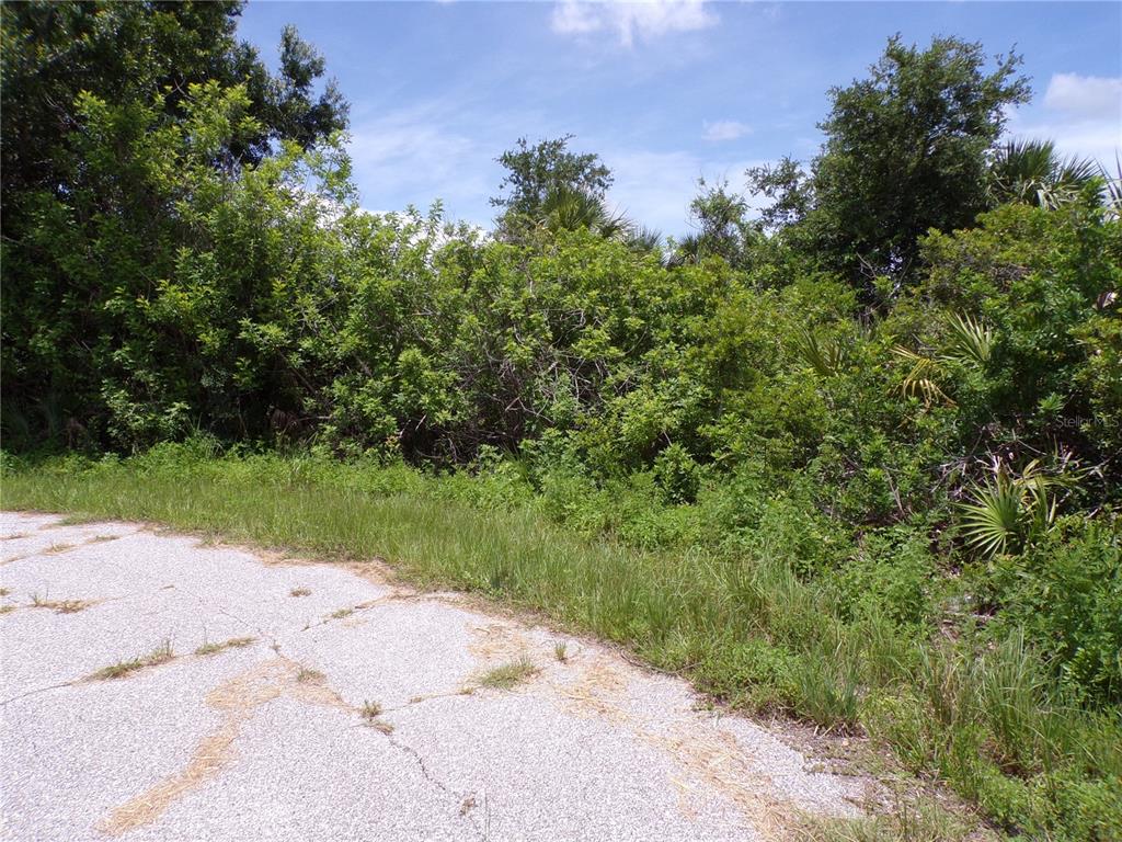 A paved road curves alongside a densely wooded lot with thick green vegetation — 7248 CASSIDY COURT, PORT CHARLOTTE, FL