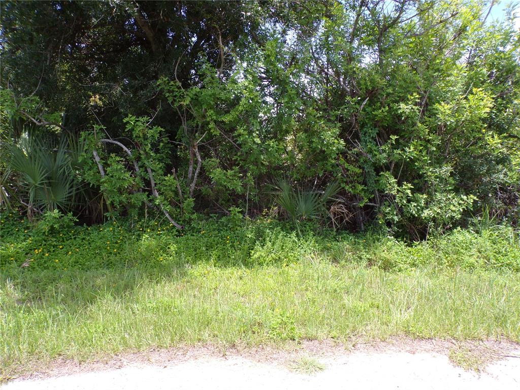 A dense thicket of trees and shrubs grows behind a patch of grassy ground — 7248 CASSIDY COURT, PORT CHARLOTTE, FL