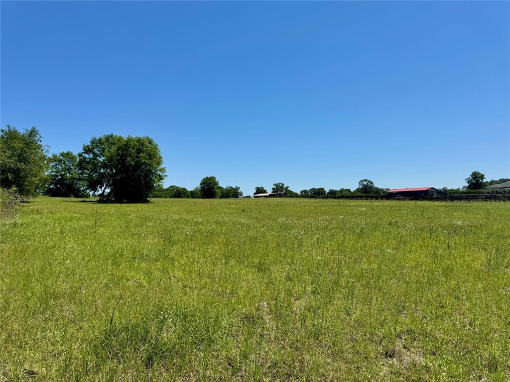 A wide, grassy field under a clear blue sky with trees and distant farm buildings — 0 NW 115 AVENUE, OCALA, FL