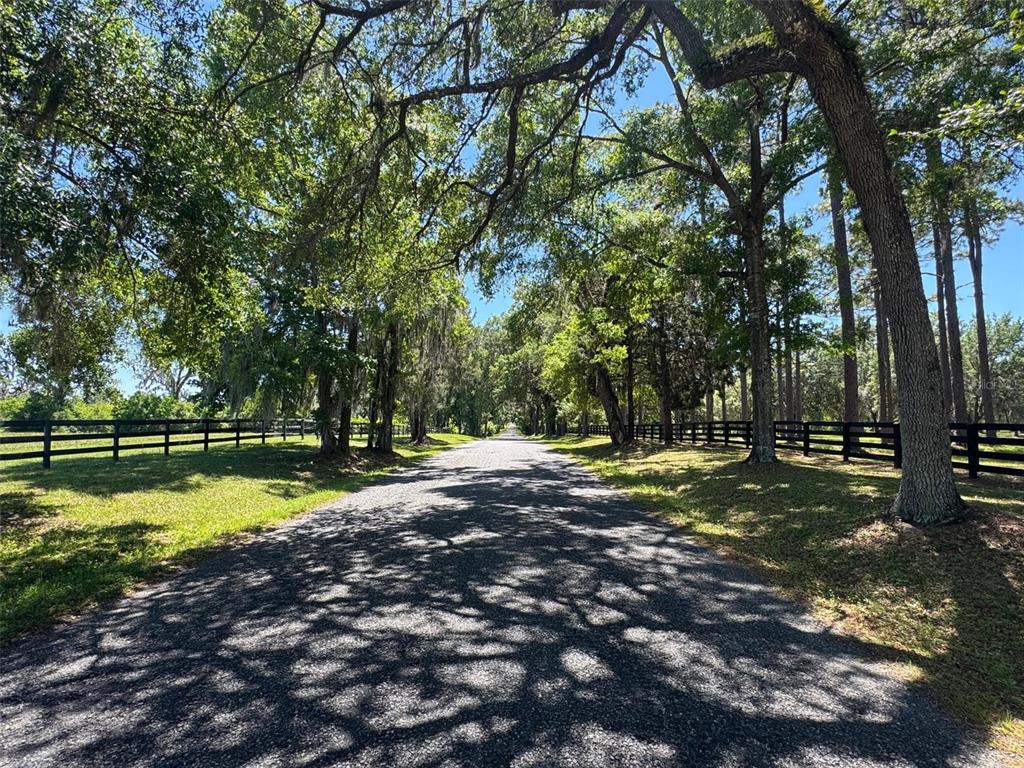 A gravel driveway lined with mature trees and black wooden fencing leads into the distance — 0 NW 115 AVENUE, OCALA, FL