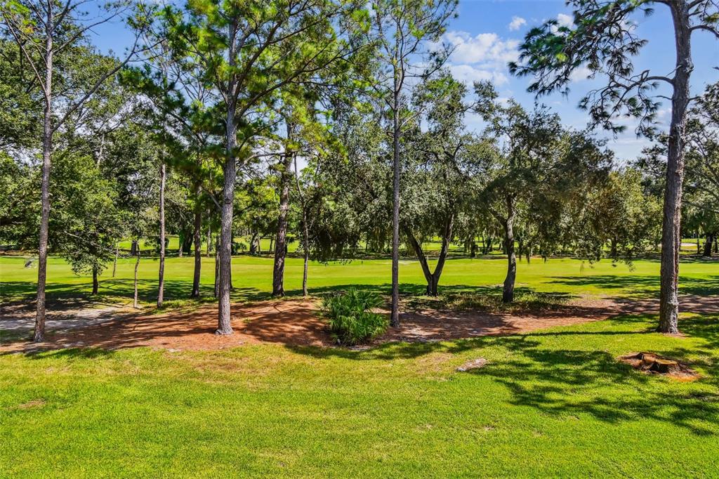 A view of a grassy backyard with many trees overlooking a golf course — 36750 US HIGHWAY 19 N UNIT 19213, PALM HARBOR, FL