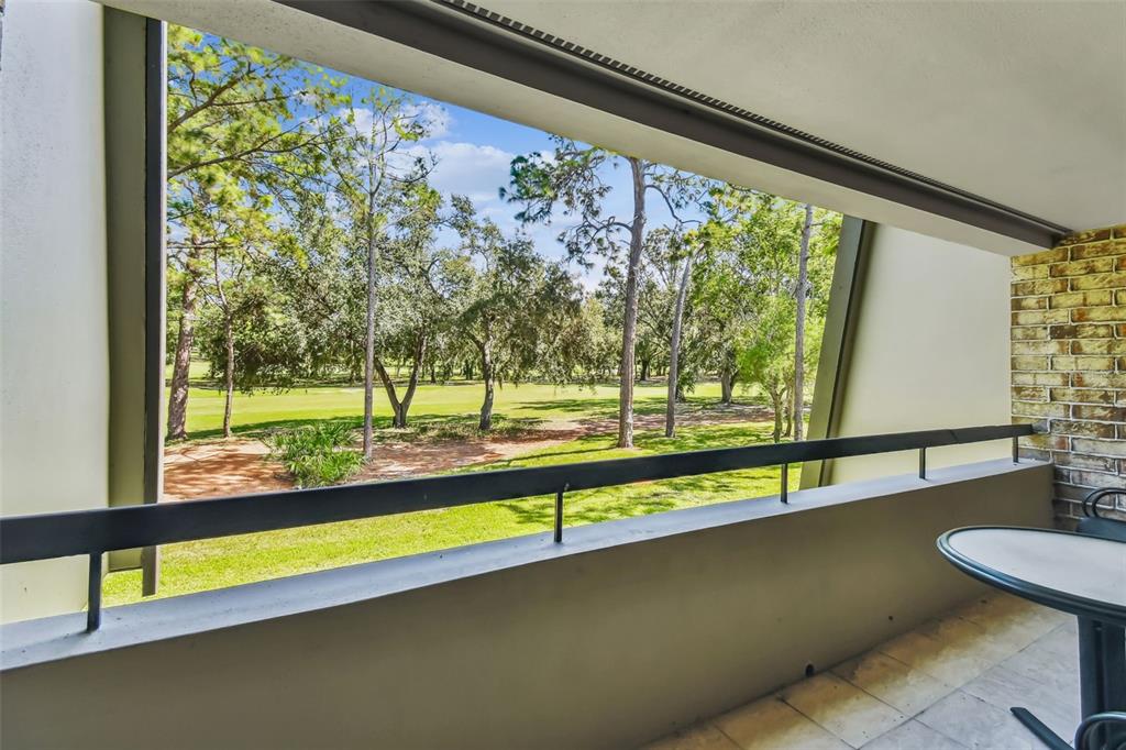 A balcony with a black railing overlooks a grassy golf course with many trees — 36750 US HIGHWAY 19 N UNIT 19213, PALM HARBOR, FL