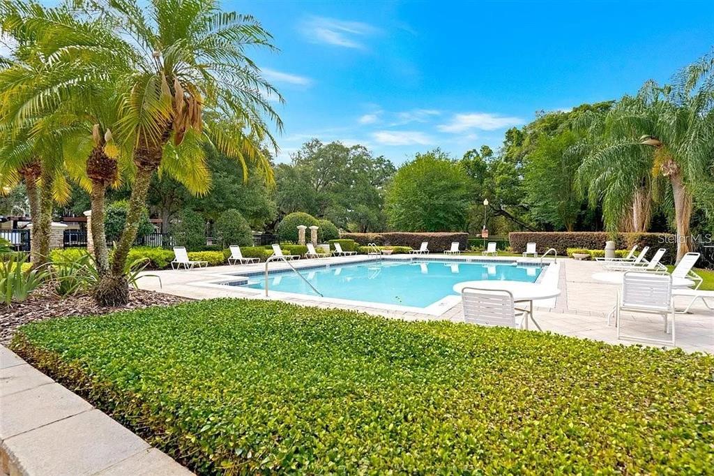 A rectangular swimming pool is surrounded by a paved deck, lounge chairs, and palm trees — 6292 TWAIN STREET UNIT 102, ORLANDO, FL