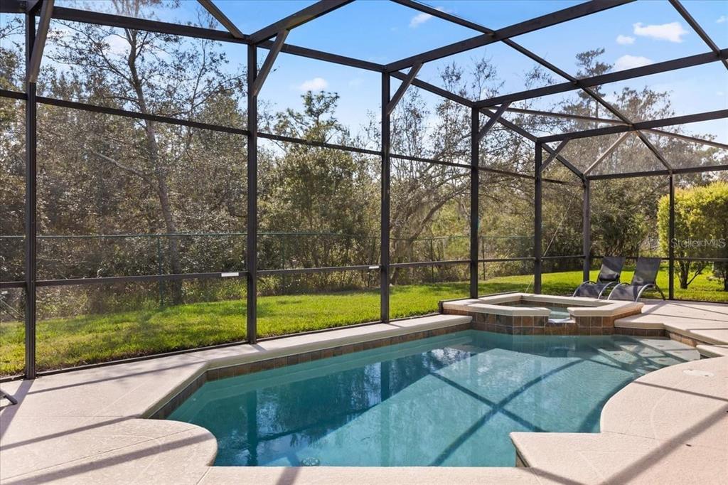 A screened-in pool and hot tub area with a view of a wooded backyard — 9122 STROMBOLI COURT, KISSIMMEE, FL