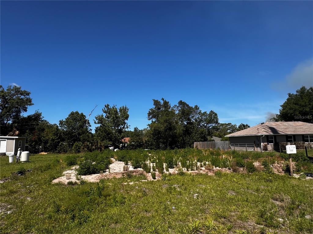 A grassy, partially cleared lot features small shrubs and trees under a clear blue sky — 250 WILLIAMS AVENUE, ORANGE CITY, FL