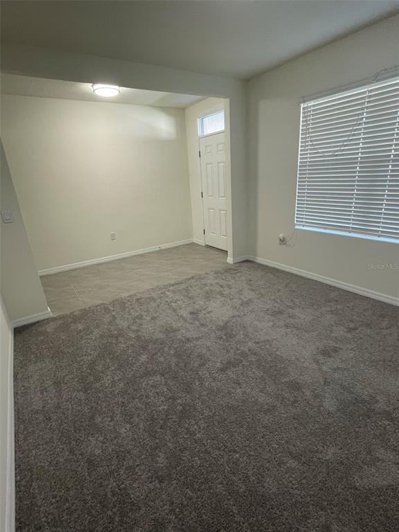 A tiled entryway leads through an arched doorway into a living area with carpeted flooring — 15596 BLACK PEPPER LANE, ODESSA, FL