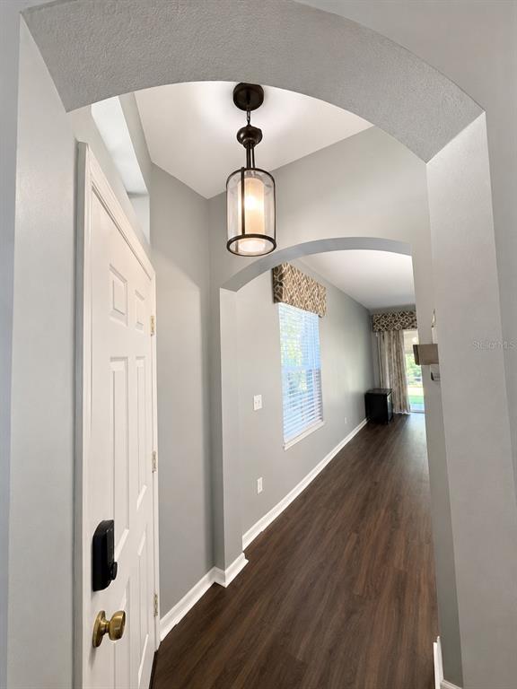 An entryway with an arched ceiling, a pendant light, and dark wood-look flooring — 11253 WINDSOR PLACE CIRCLE, TAMPA, FL