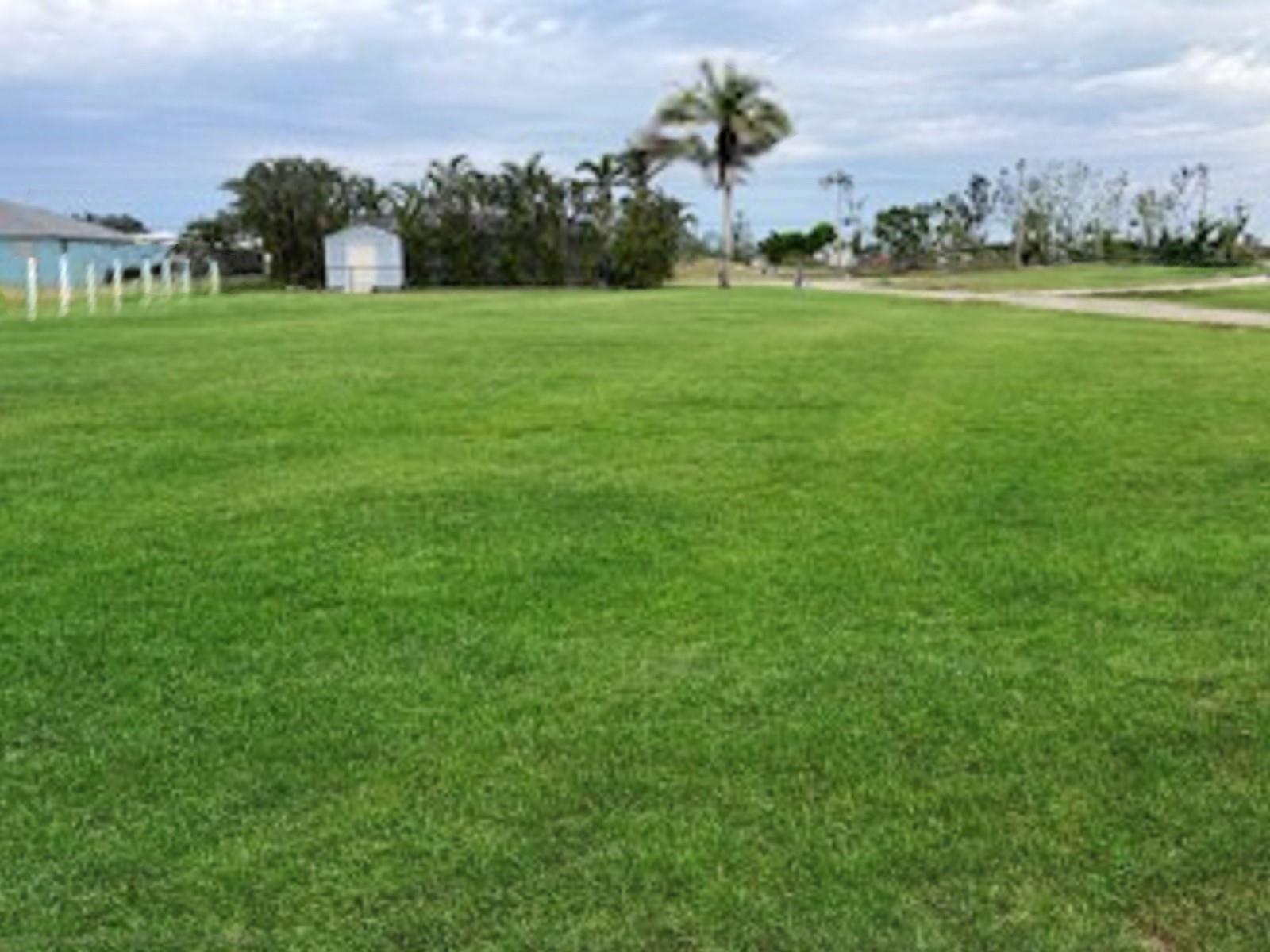 A large, flat, grassy residential lot features a small shed and a single palm tree — 2101 SW 25th Terr Cape, FL 33914, FL
