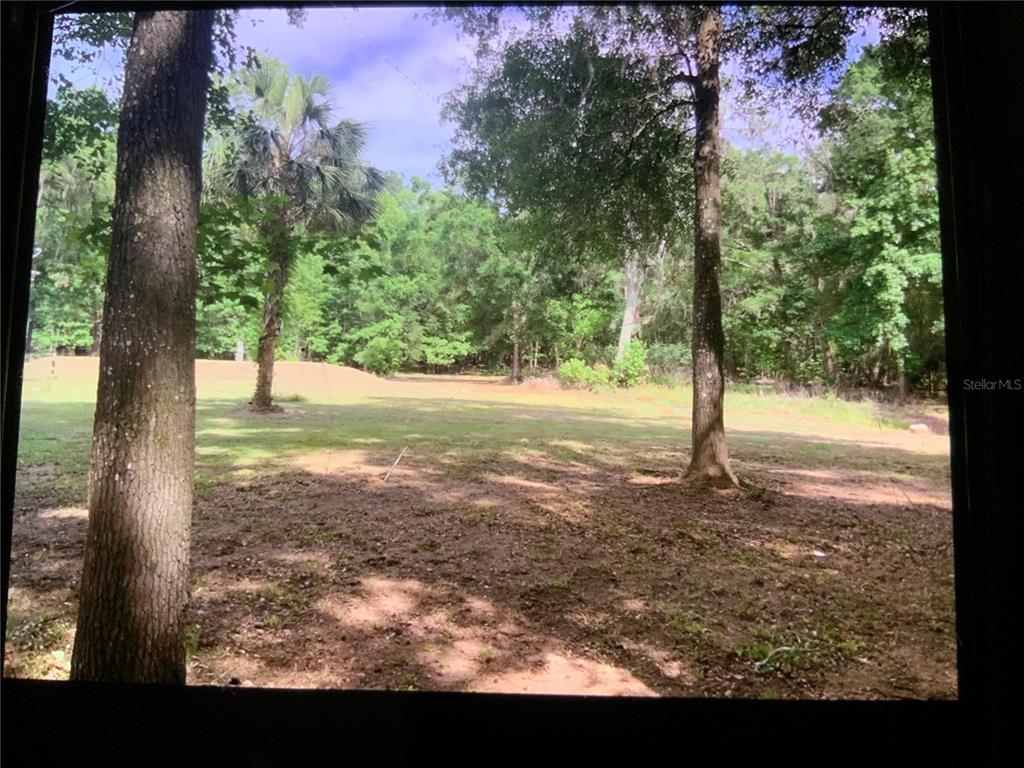 13080 NW 168TH PLACE, REDDICK, FL — photo 3 of 19