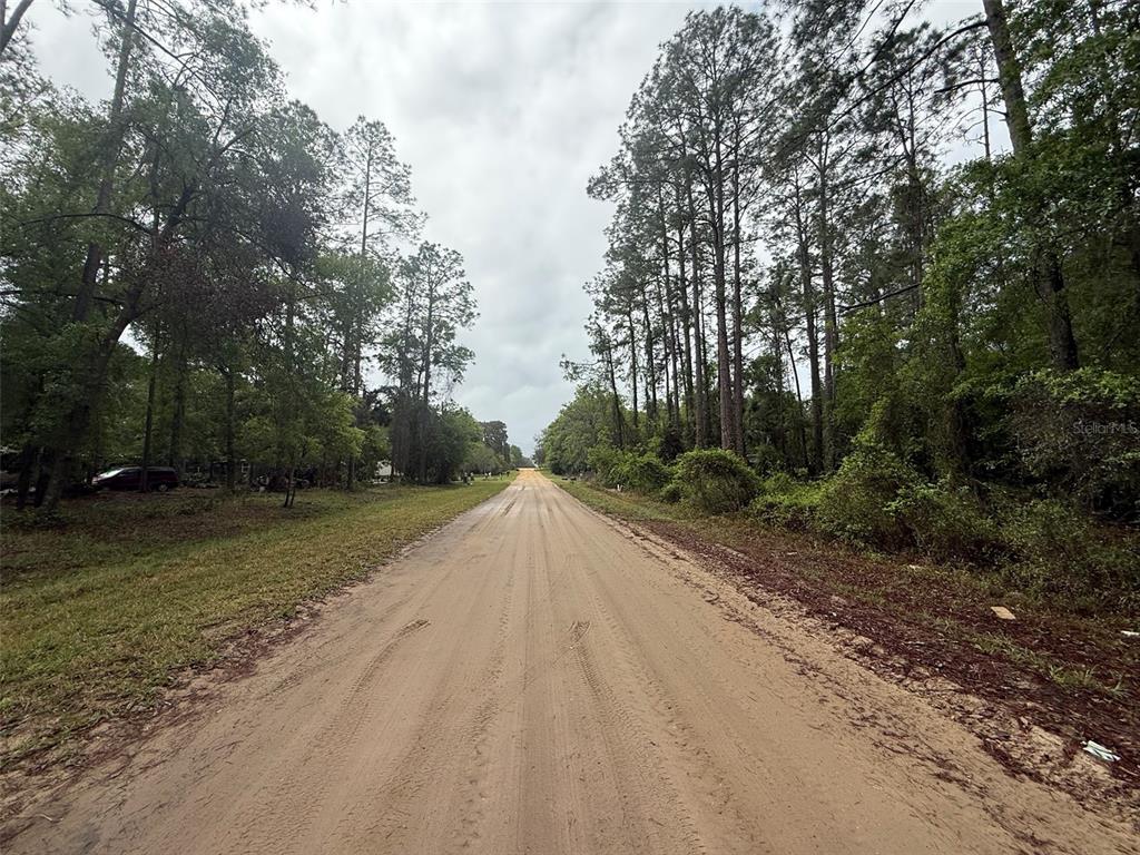 A dirt road stretches forward between dense trees under a cloudy sky — SEMINOLE AVENUE, INTERLACHEN, FL