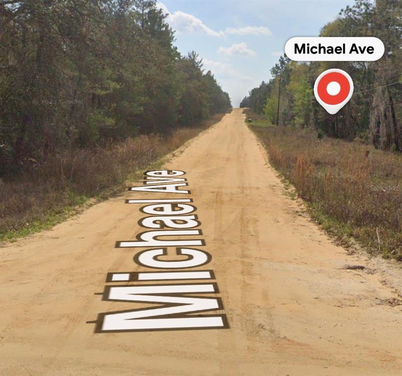 A dirt road stretches through a wooded area under a partly cloudy sky — MICHAEL AVE, INTERLACHEN, FL