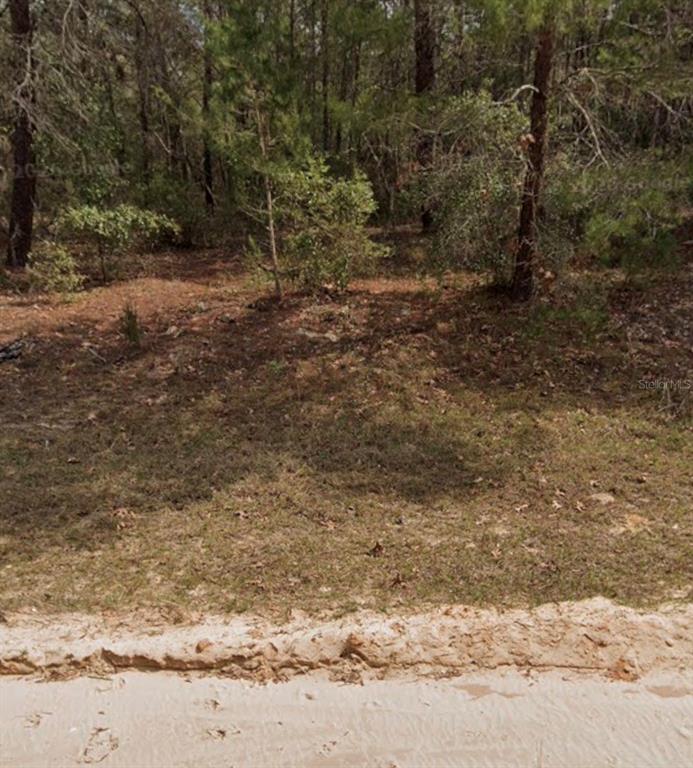 A wooded, undeveloped lot with sandy ground and scattered trees viewed from a dirt road — MICHAEL AVE, INTERLACHEN, FL