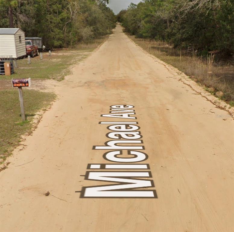 A dirt road stretches into a wooded area with a mailbox on the left side — MICHAEL AVE, INTERLACHEN, FL