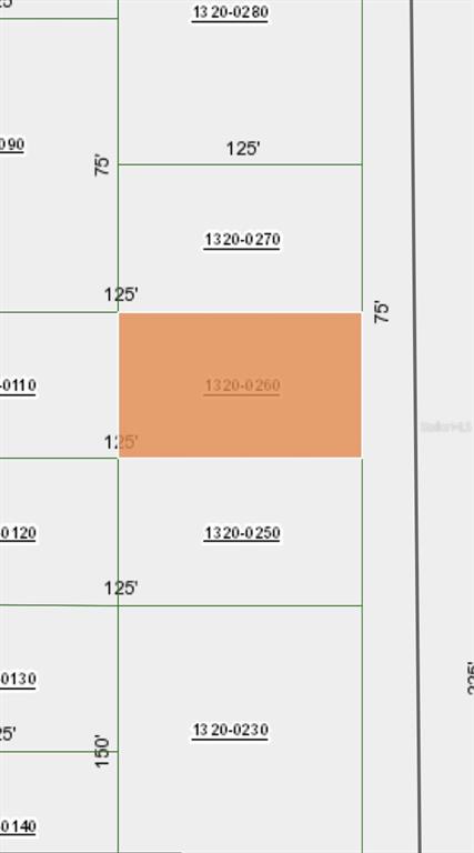 This is a map showing a highlighted rectangular land parcel labeled 1320-0260 — MICHAEL AVE, INTERLACHEN, FL
