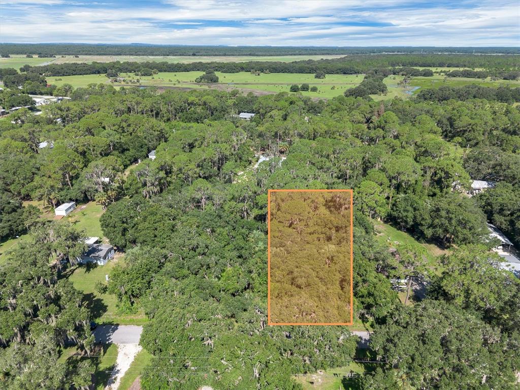 An aerial view shows a rectangular, wooded plot of land highlighted by an orange border — BEACH PARKWAY, LAKE WALES, FL