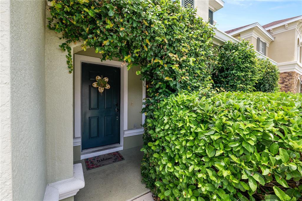 A dark green front door is framed by a lush green hedge and vine — 2316 GENEVA DRIVE, LAKELAND, FL