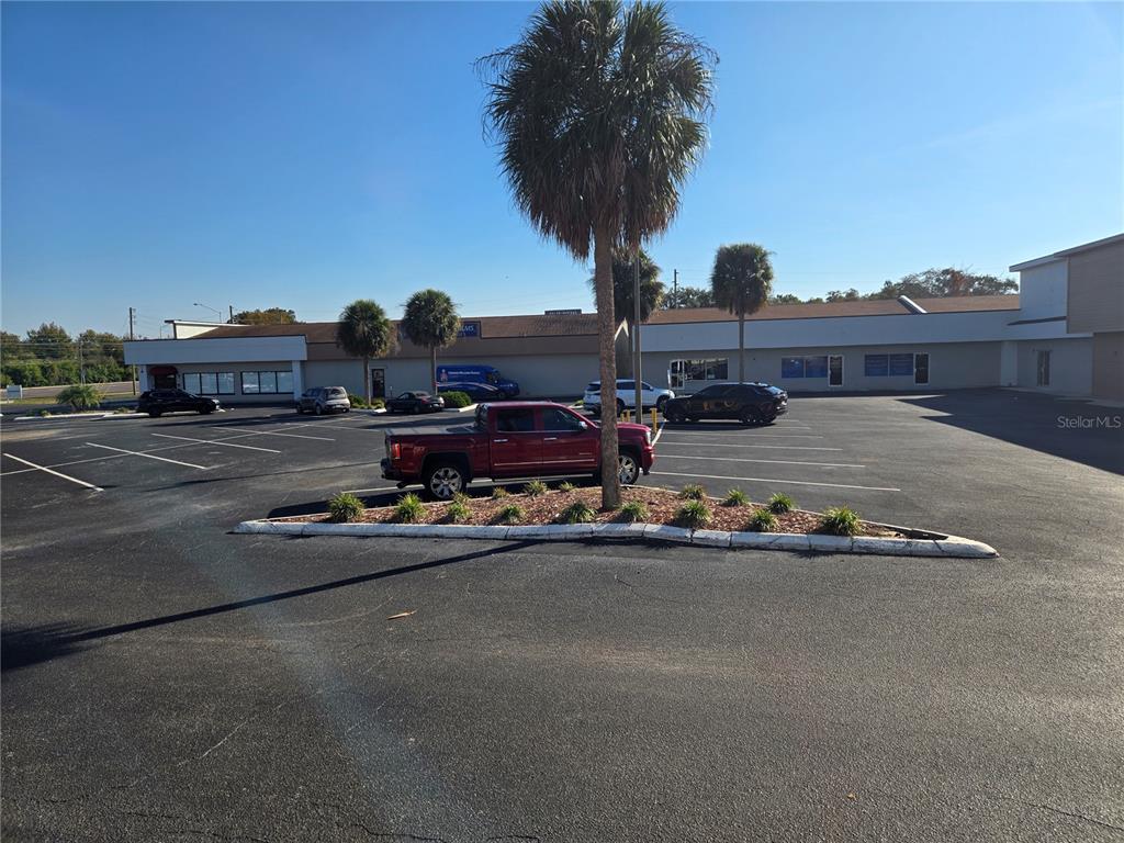 A parking lot features a central landscaped island with a palm tree and parked vehicles — 39936 US HIGHWAY 19 N, TARPON SPRINGS, FL