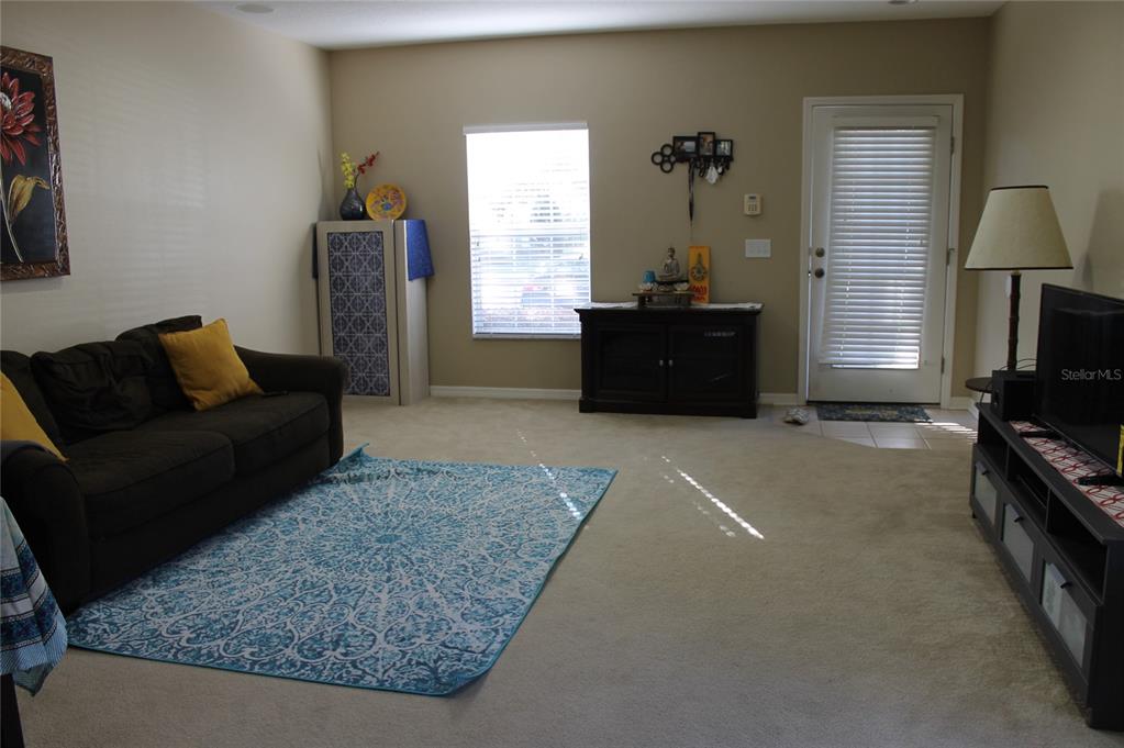 A living room features a dark sofa, a blue patterned rug, and a television console — 5815 FISHHAWK RIDGE DRIVE, LITHIA, FL
