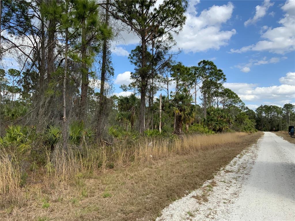 4219 E 30TH STREET, ALVA, FL — photo 3 of 8