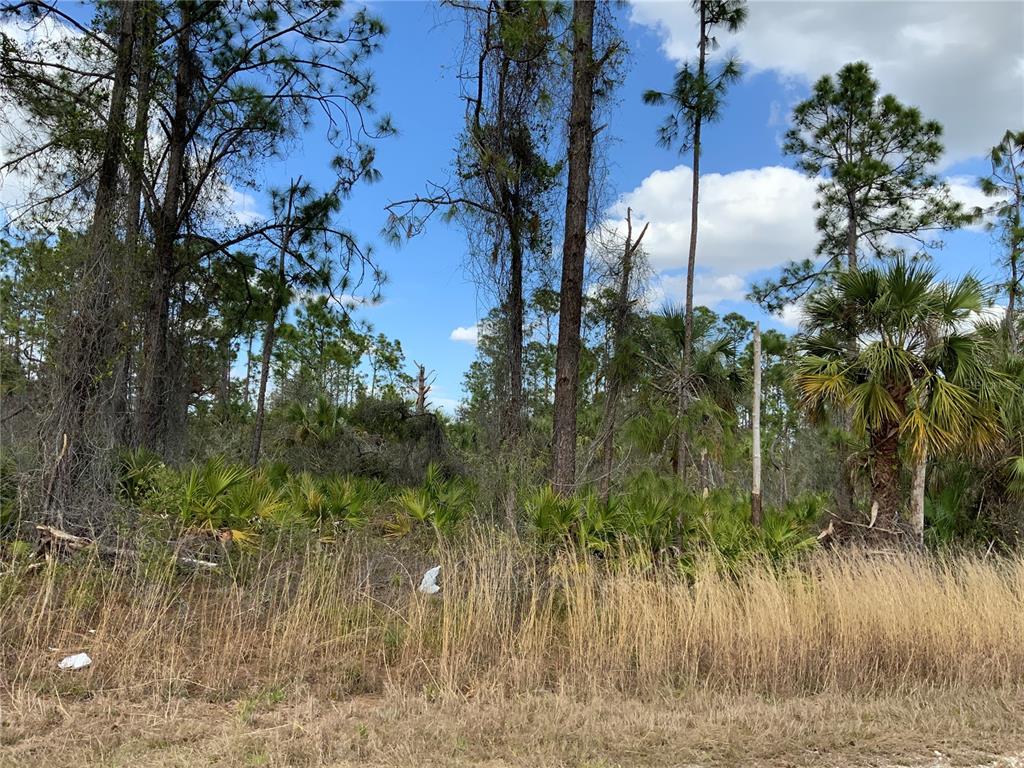 4219 E 30TH STREET, ALVA, FL — photo 5 of 8