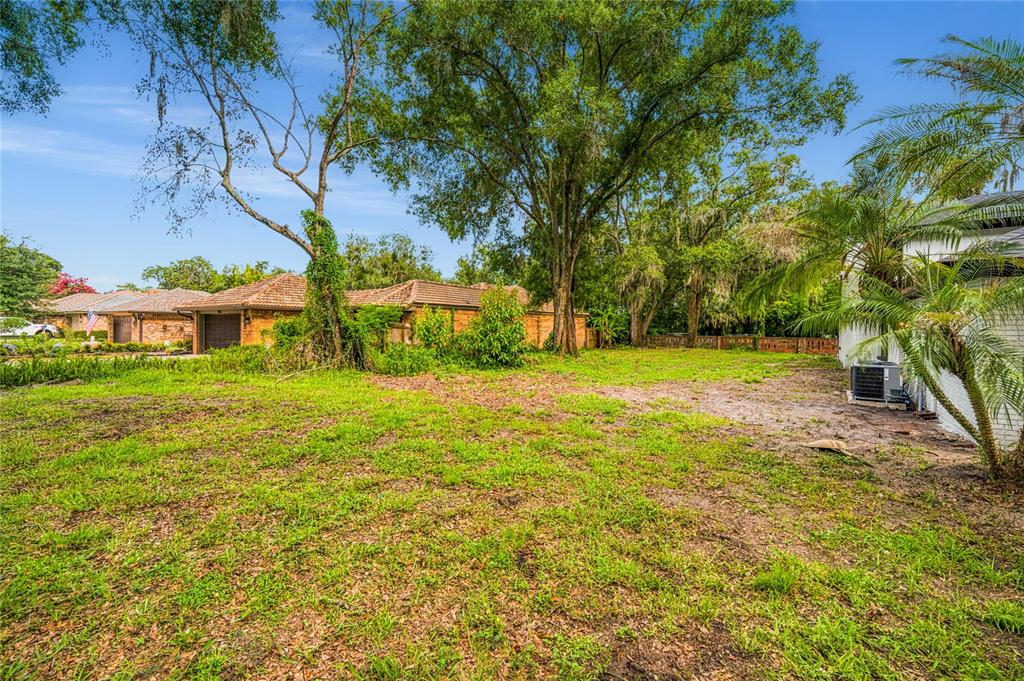 A grassy backyard features a large tree, sparse vegetation, and neighboring brick houses — JESSICA COURT, WINTER PARK, FL