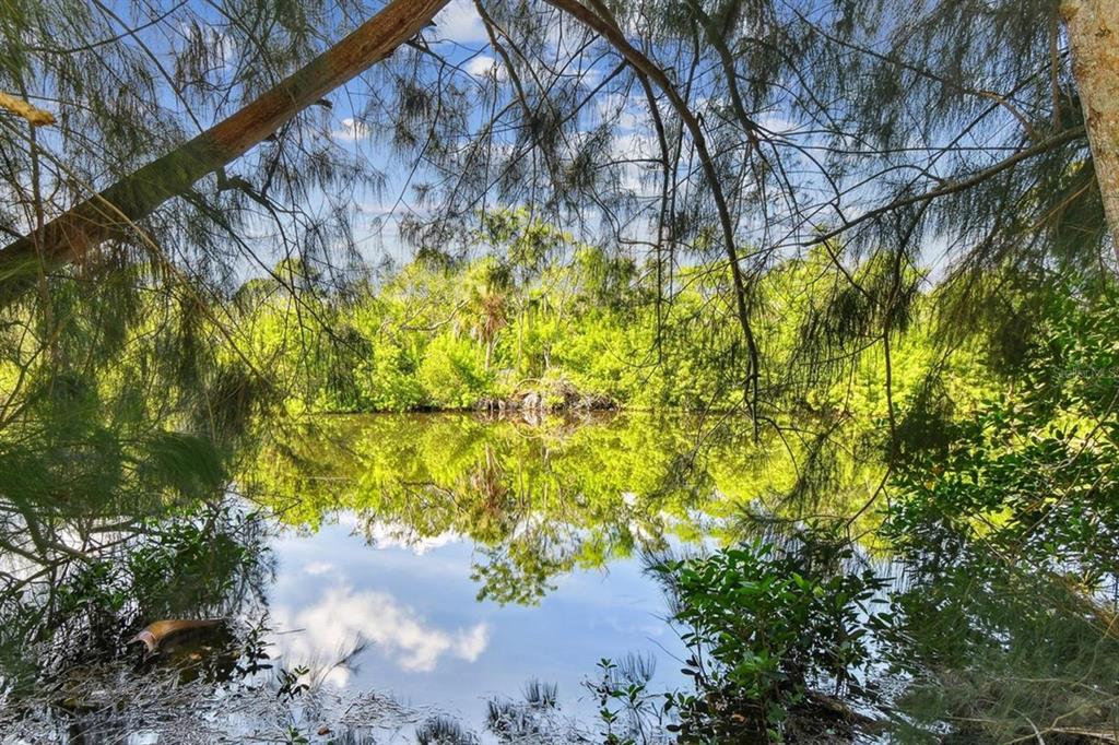A view of a calm pond surrounded by lush green trees and overhanging branches — 5909 MOHR ROAD, TAMPA, FL